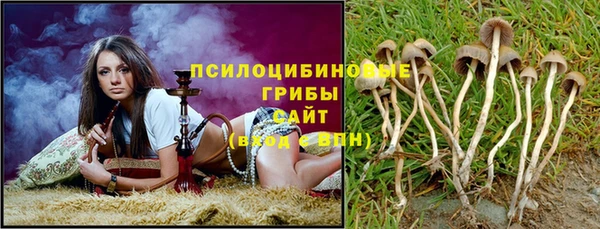 спиды Абдулино