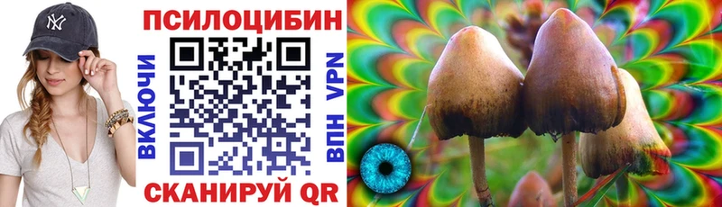 shop какой сайт  Иваново  Псилоцибиновые грибы GOLDEN TEACHER  где купить наркоту 