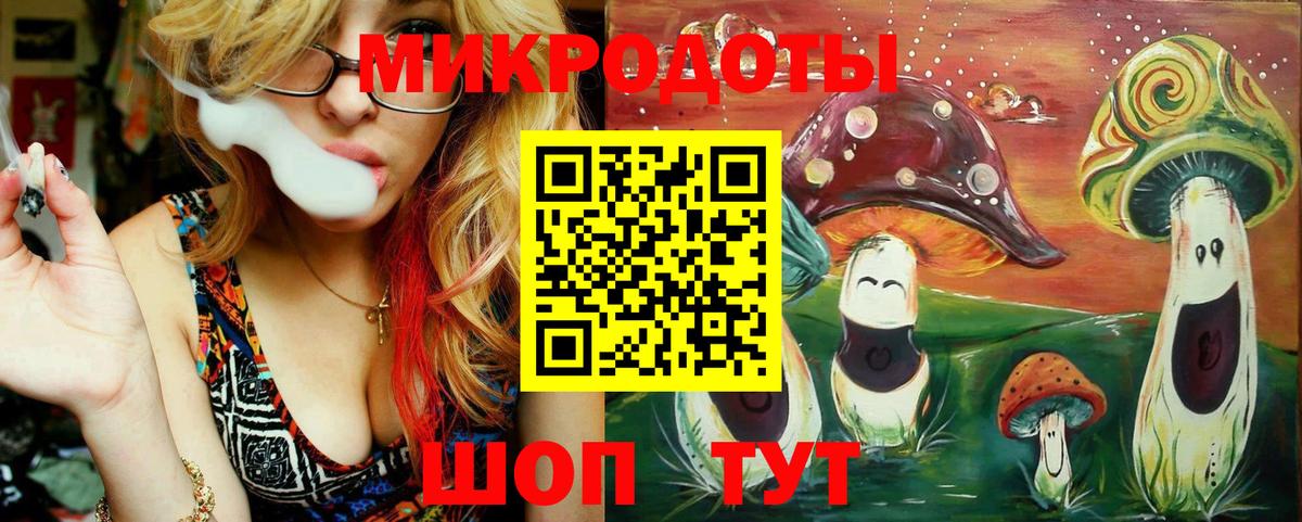 Галлюциногенные грибы Cubensis Иваново