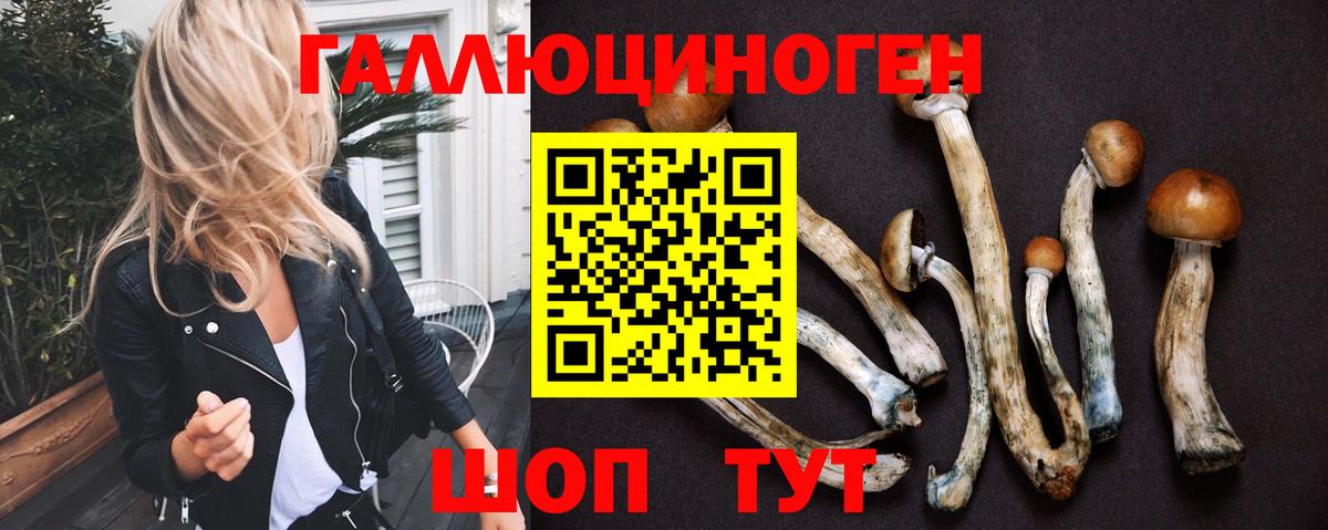 Галлюциногенные грибы Psilocybe  Галлюциногенные грибы прущие грибы  Иваново  Вход с VPN 