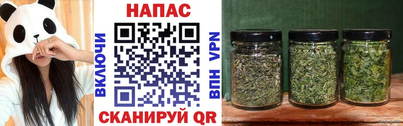 даркнет сайт  Иваново  darknet Telegram  Марихуана сатива  omg маркетплейс 